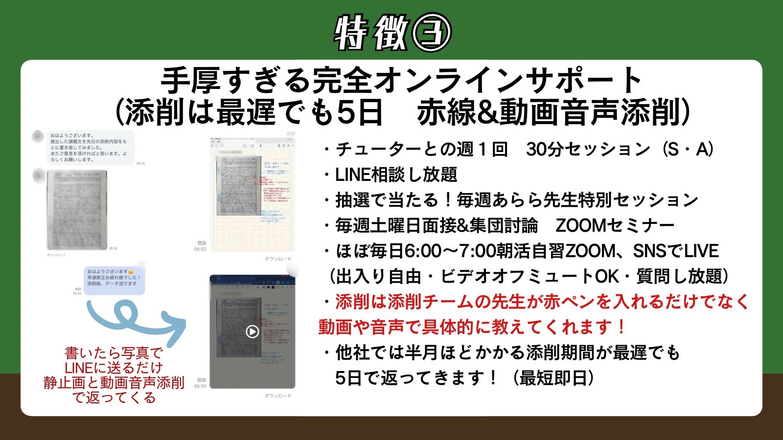 S__537346055_0